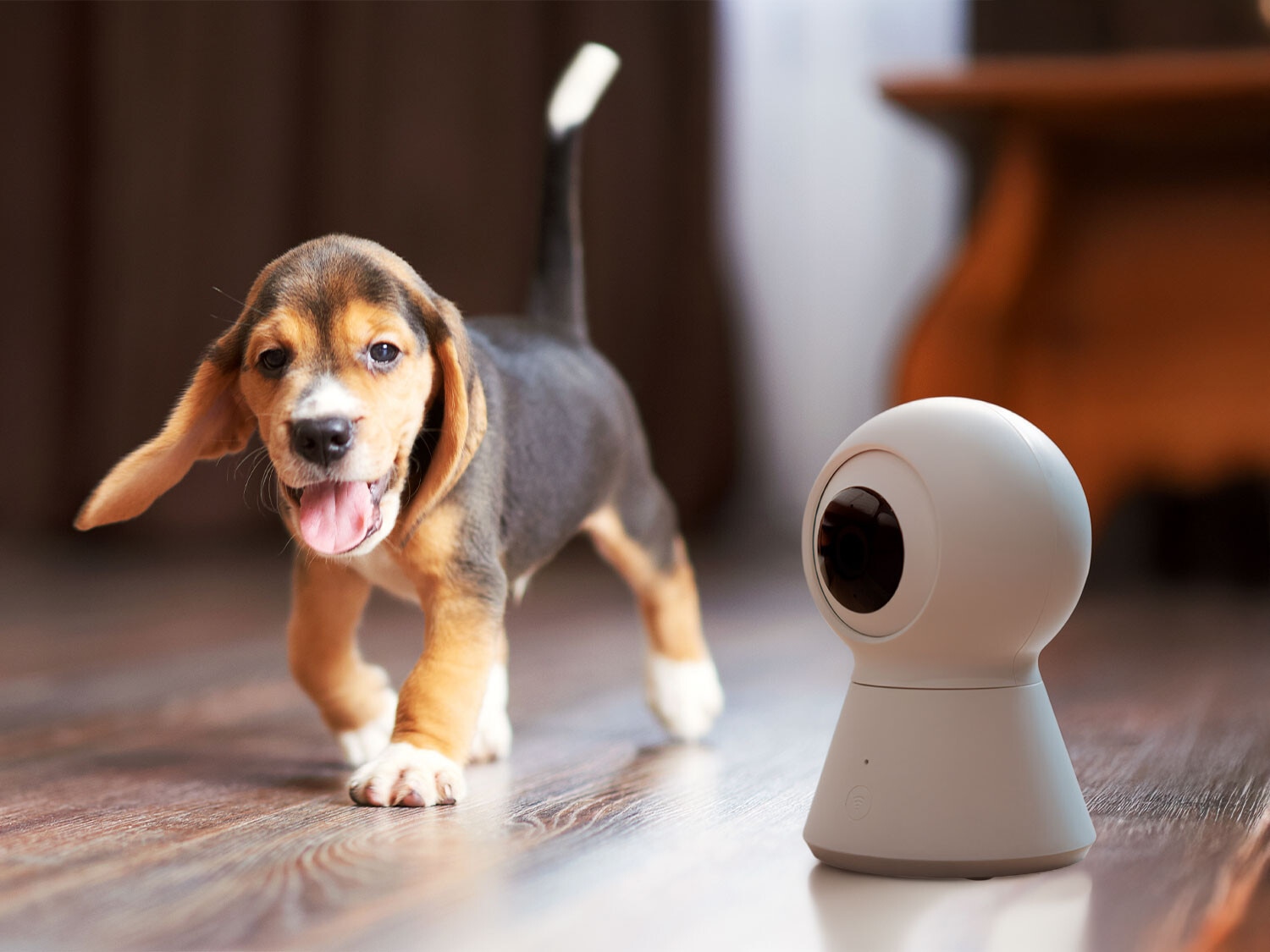 Tranquilidad en todo momento