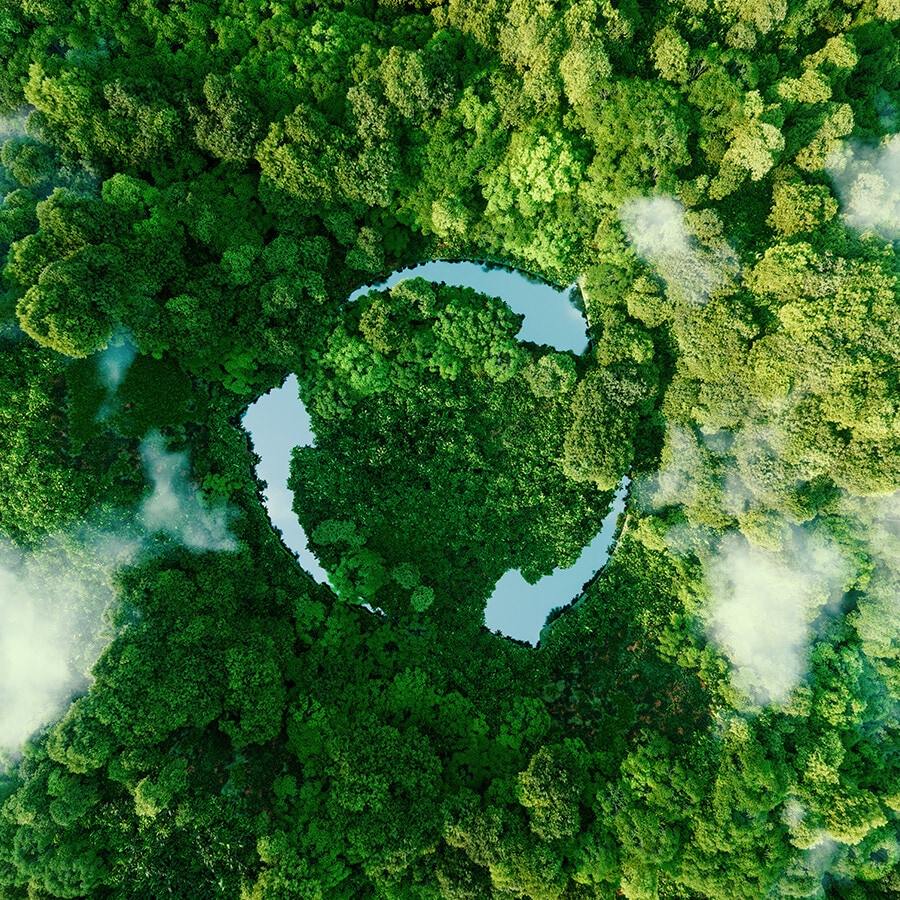 Productos reacondicionados