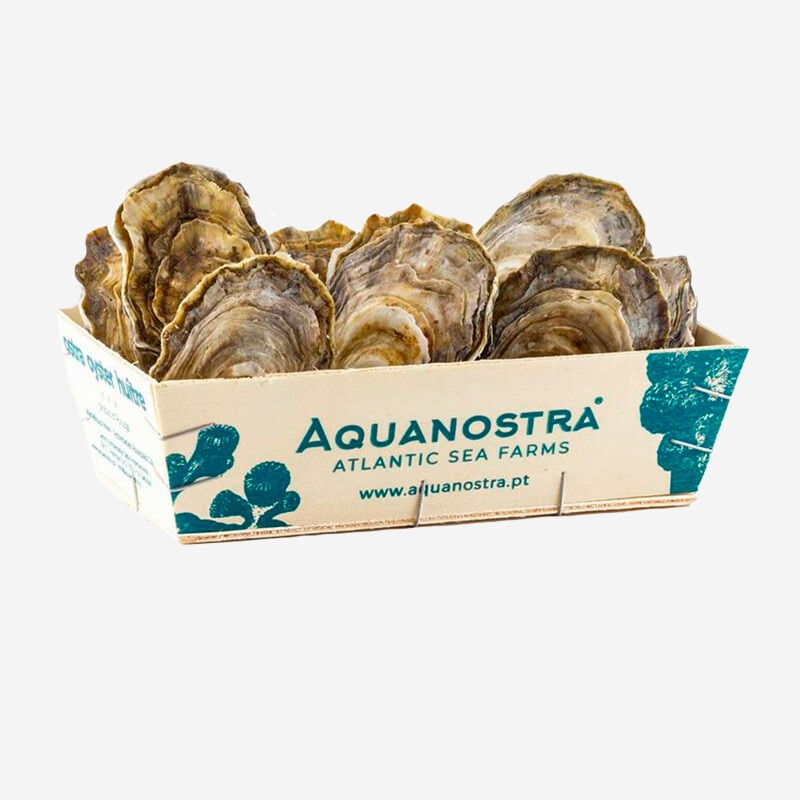 Aquanostra Ostras Portuguesas Super Especiais em Caixa de Madeira