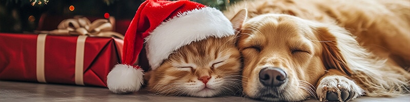 Nos gusta la navidad