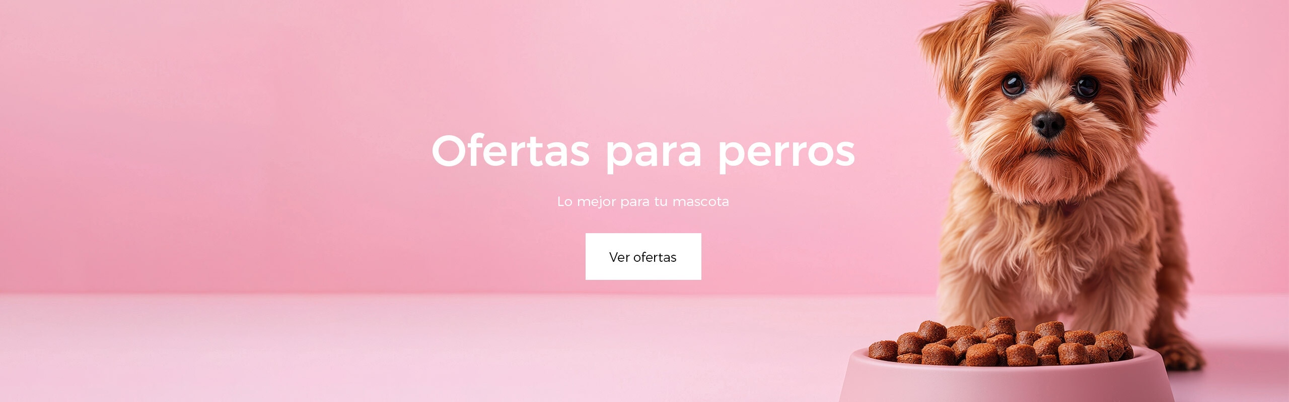 ANGEBOTE in Nahrung und Zubehör für IHREN HUND