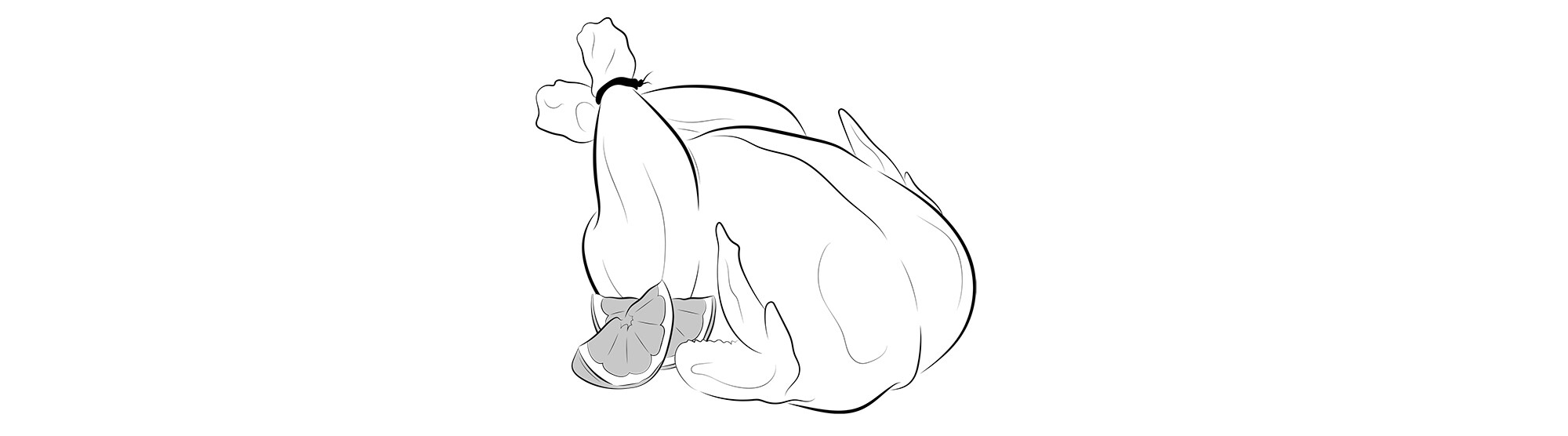 carnes y aves asadas