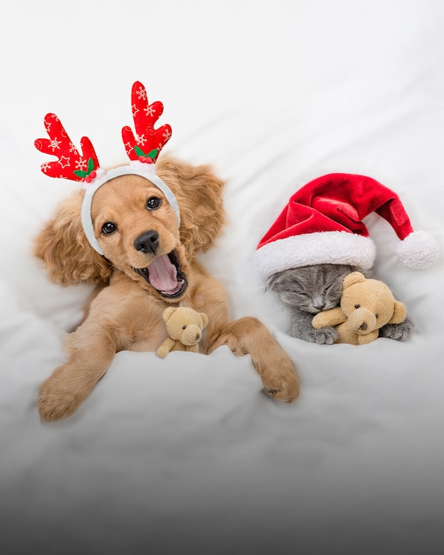 Navidad para tu mejor amigo