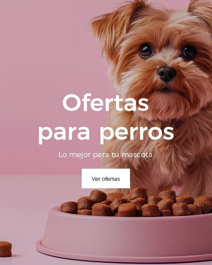 ANGEBOTE in Nahrung und Zubehör für IHREN HUND