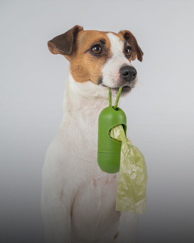 Navidad sin sorpresas