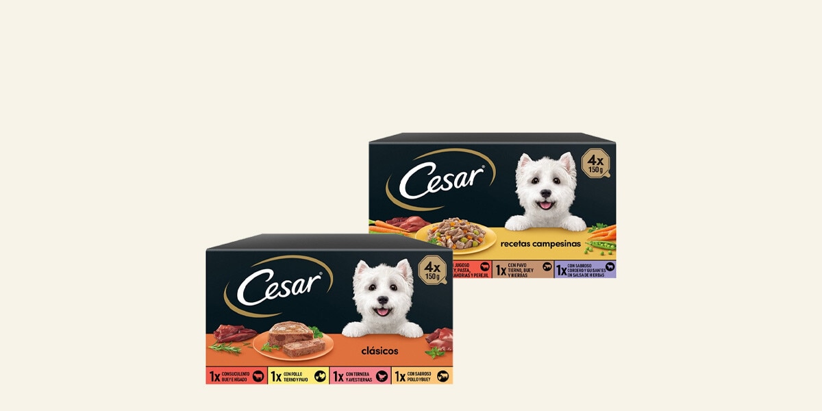 Comida húmeda para perro CESAR