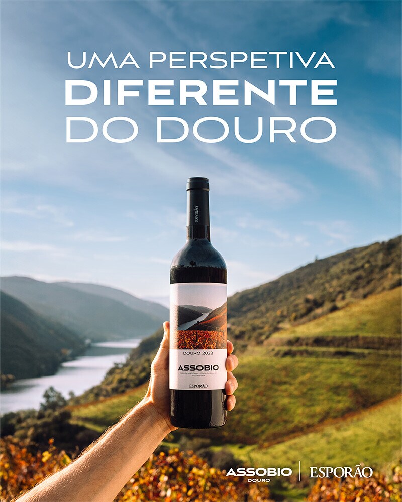 Uma perspetiva diferente do Douro