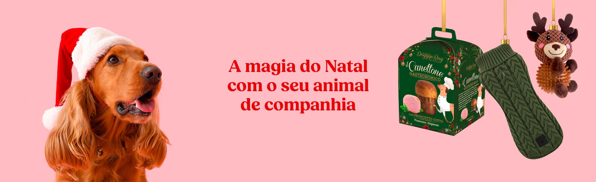 A Magia do Natal com o seu Animal de Companhia