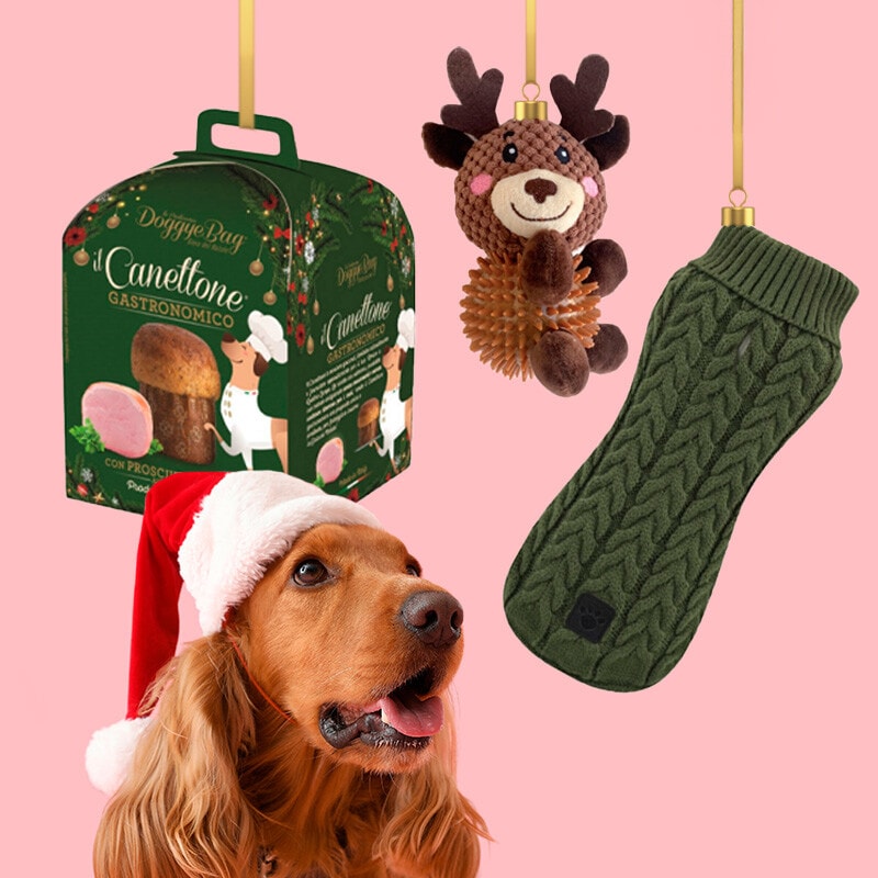 Ofereça ao seu melhor amigo