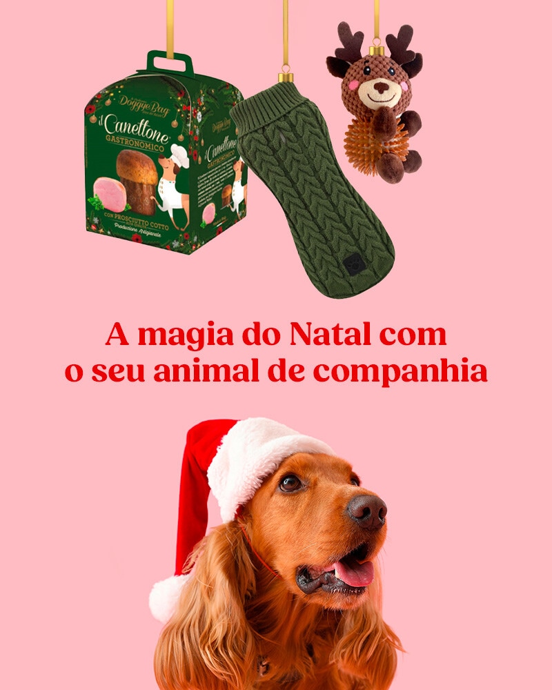A Magia do Natal com o seu Animal de Companhia