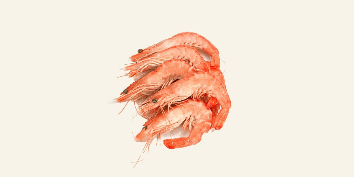 Langostino cocido de Madagascar ASC 20-30 pzas/kg FRESCO