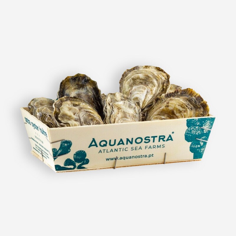 Ostras Portuguesas Super Especiais caixa 2 kg