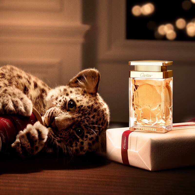 Um presente como  uma Jóia invisível, o acorde  Floral-Felino característico  da Maison traz uma carícia  calorosa aos dias de Inverno.