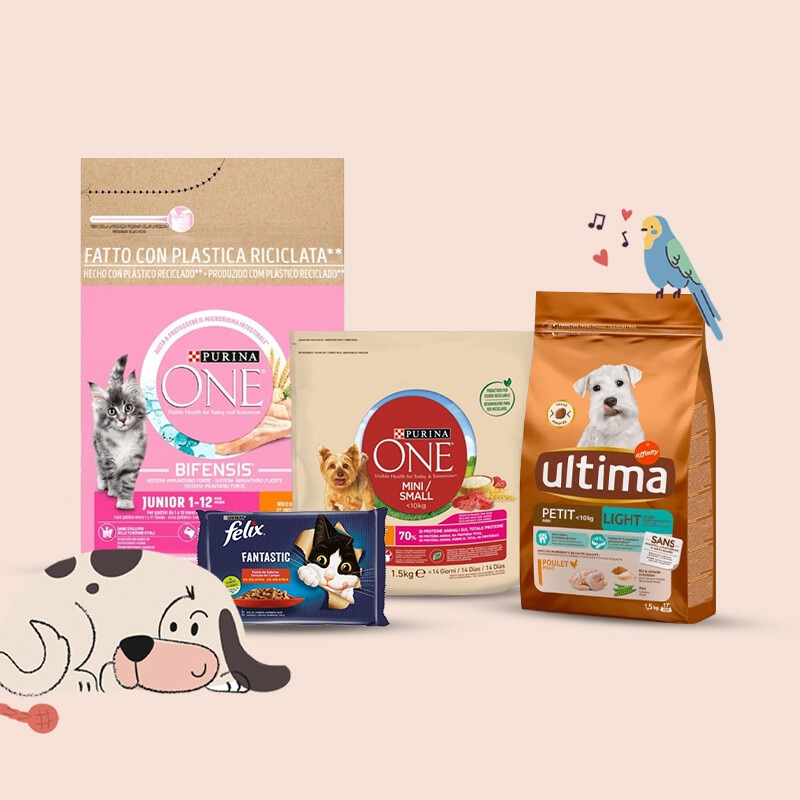 Tudo para o seu Animal de Companhia - 1 a 15 de janeiro