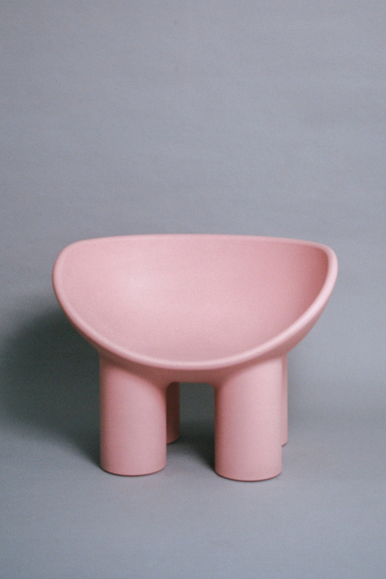 TRENDY & COZY KIDS FW25