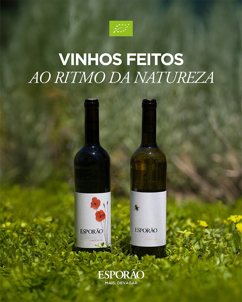 Vinhos feitos ao ritmo da natureza