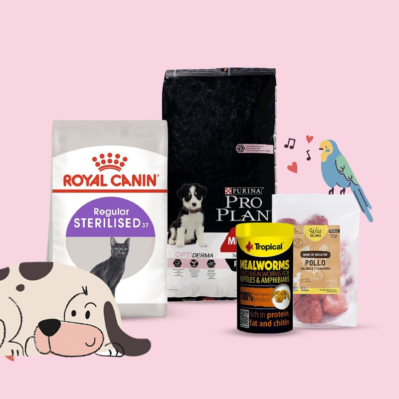 Tudo para o seu Animal de Companhia - 16 a 29 de janeiro