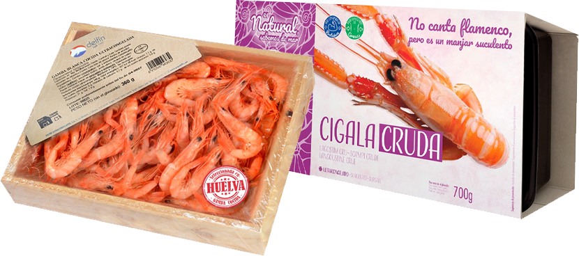 DELFIN Marisco distintas variedades y formato