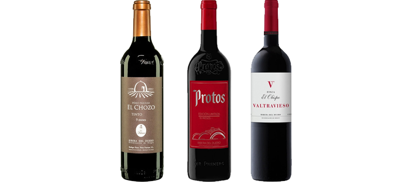 Selección vinos tintos DO Ribera del Duero