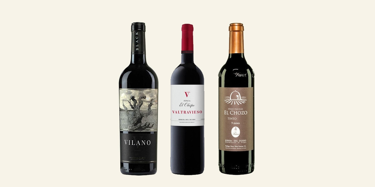 Selección vinos tintos DO Ribera del Duero MULTIMARCA