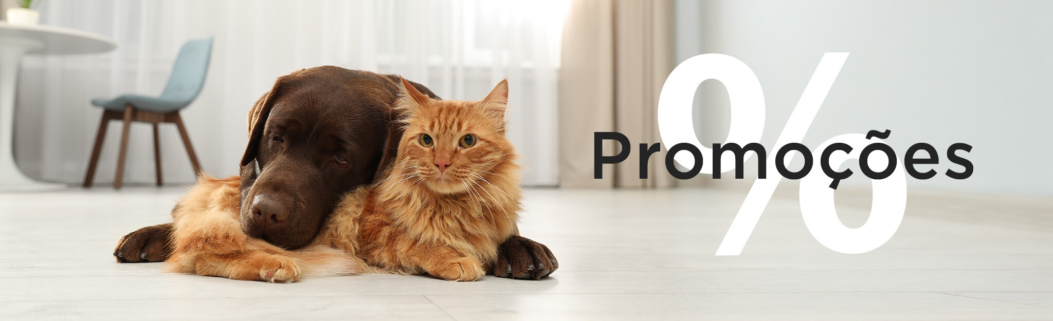 Promoções 
