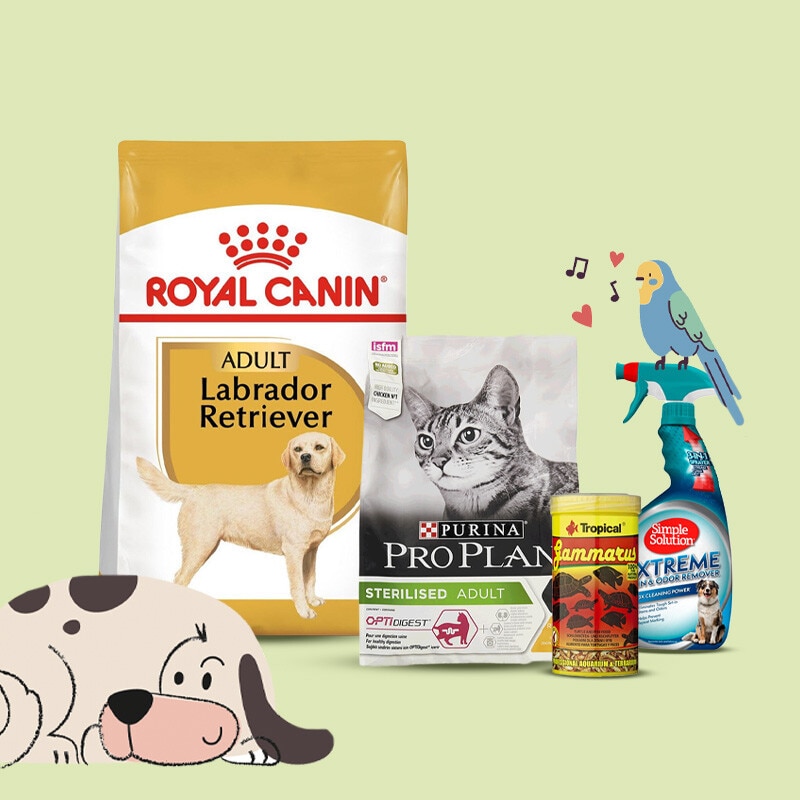 Tudo para o seu Animal de Companhia - 30 de janeiro a 12 de fevereiro