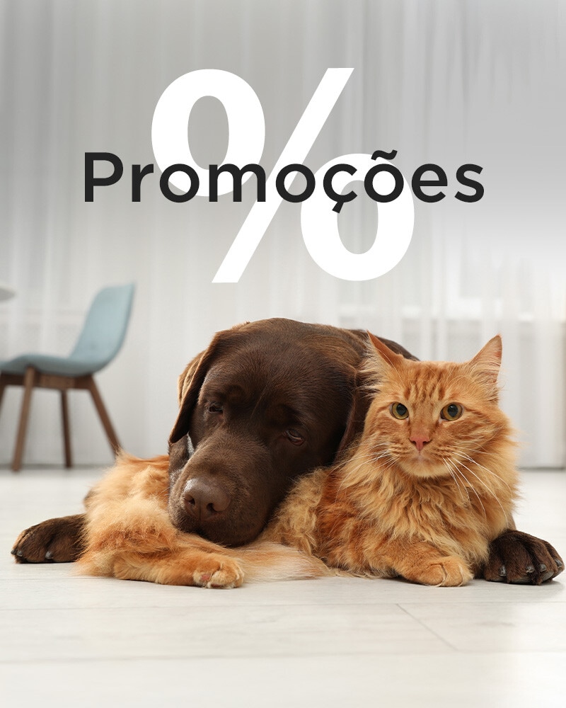 Promoções