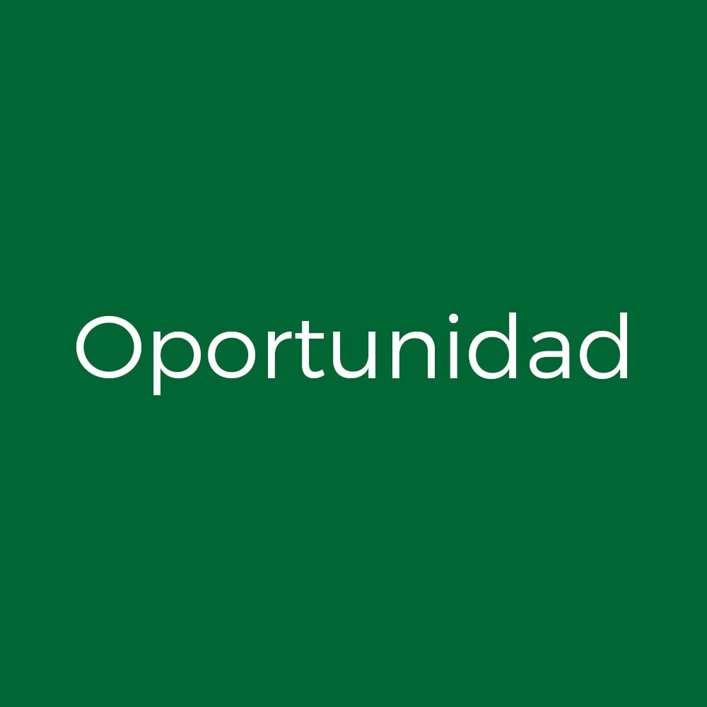 Oportunidad. Últimas unidades