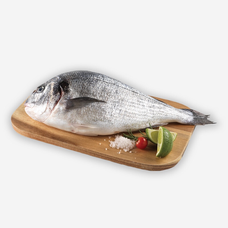 Dourada de Aquicultura