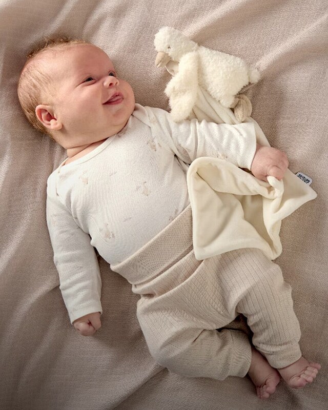 Imprescindíveis para o frio