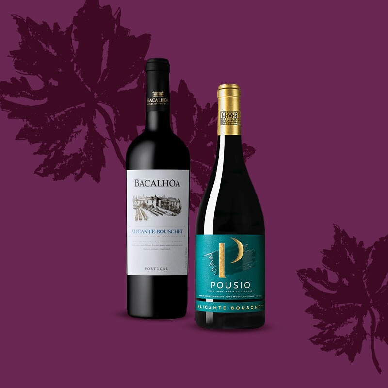 Vinhos - 27 de fevereiro a 12 de março