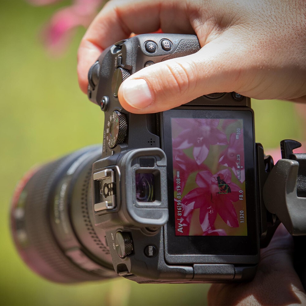 Fotografía hasta -20%