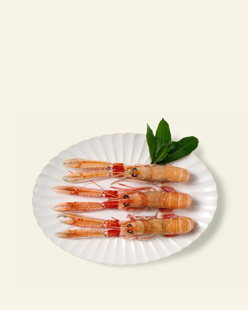 Pescado y marisco congelado