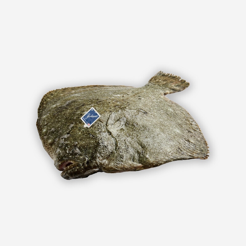 Pregado Aquicultura Peso Aproximado por unidade 1,5 kg