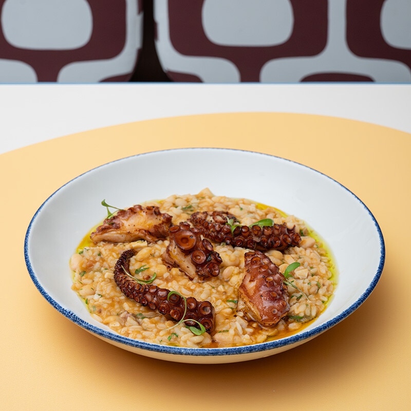 Polvo Assado com Arroz de Feijão Branco