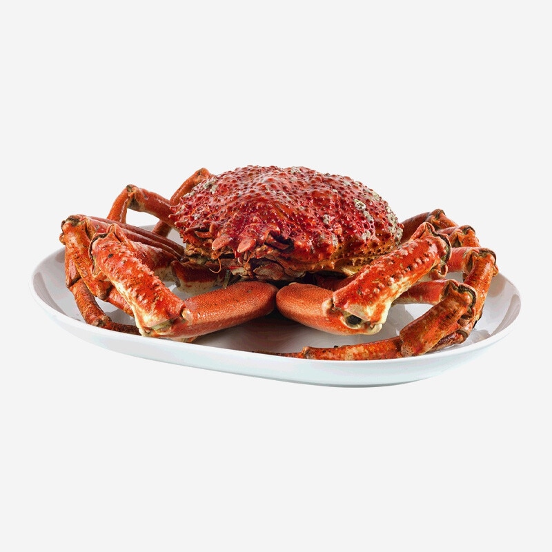 Santola Inteira Cozida