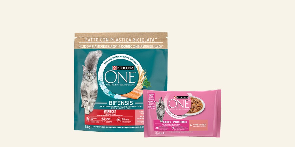 Pienso seco para gatos Purina One