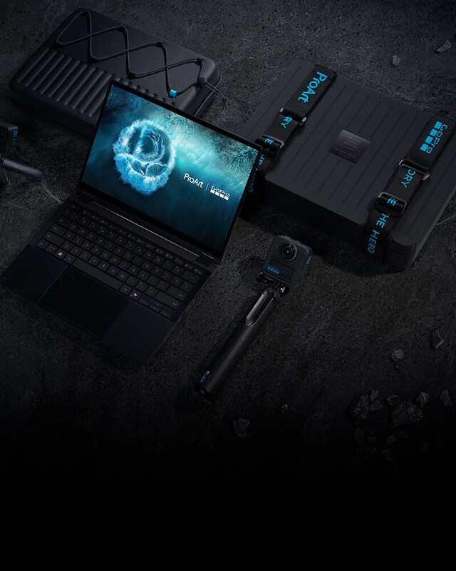 Asus ProArt Go Pro Edition