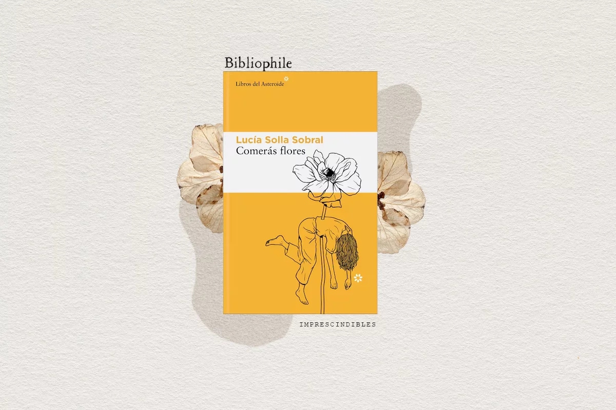 Livros e Autores Essenciais para 2026 