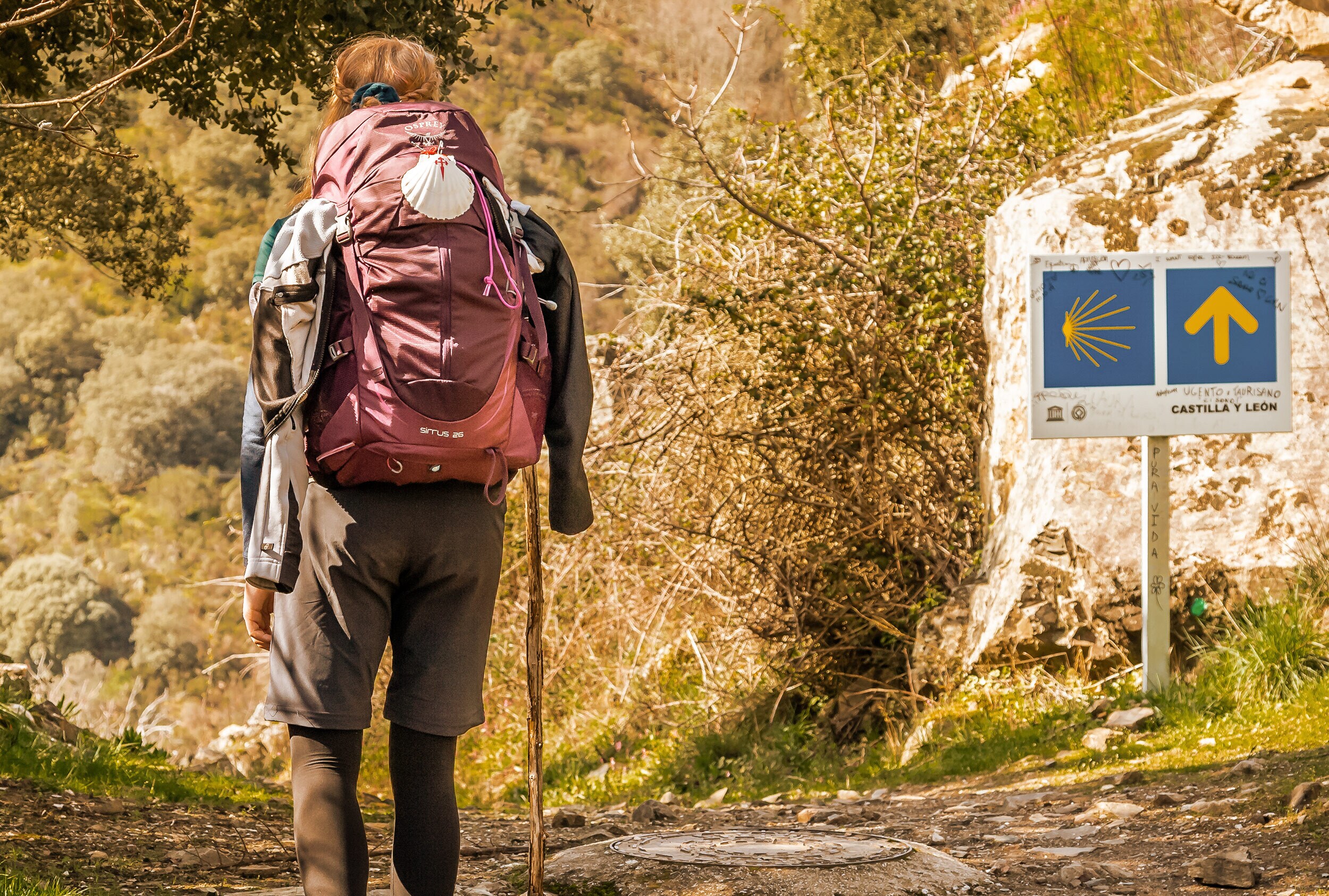Camino de Santiago