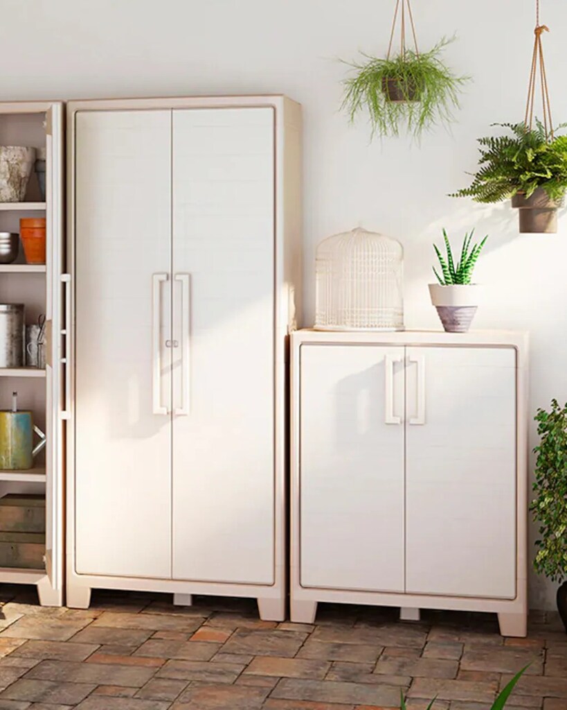 Organizar a Arrecadação