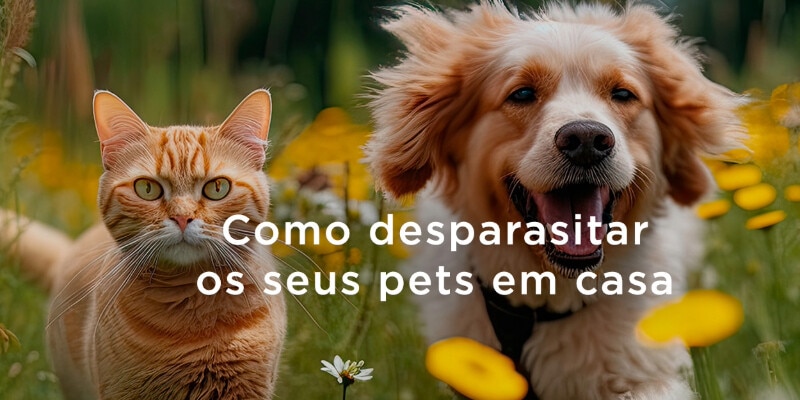 Como desparasitar o seu cão e gato em casa