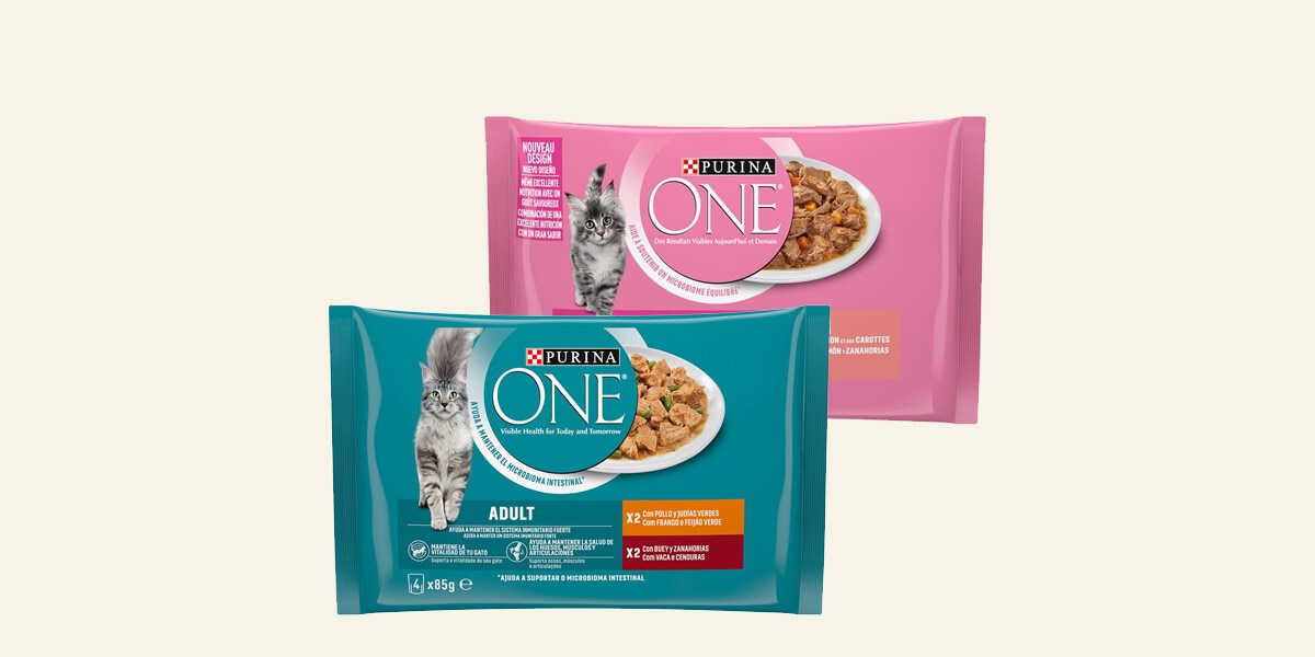 Pienso seco para gatos ONE