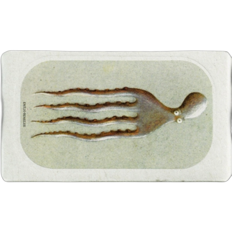 José Gourmet Polvo em Azeite e Alho lata 120 g