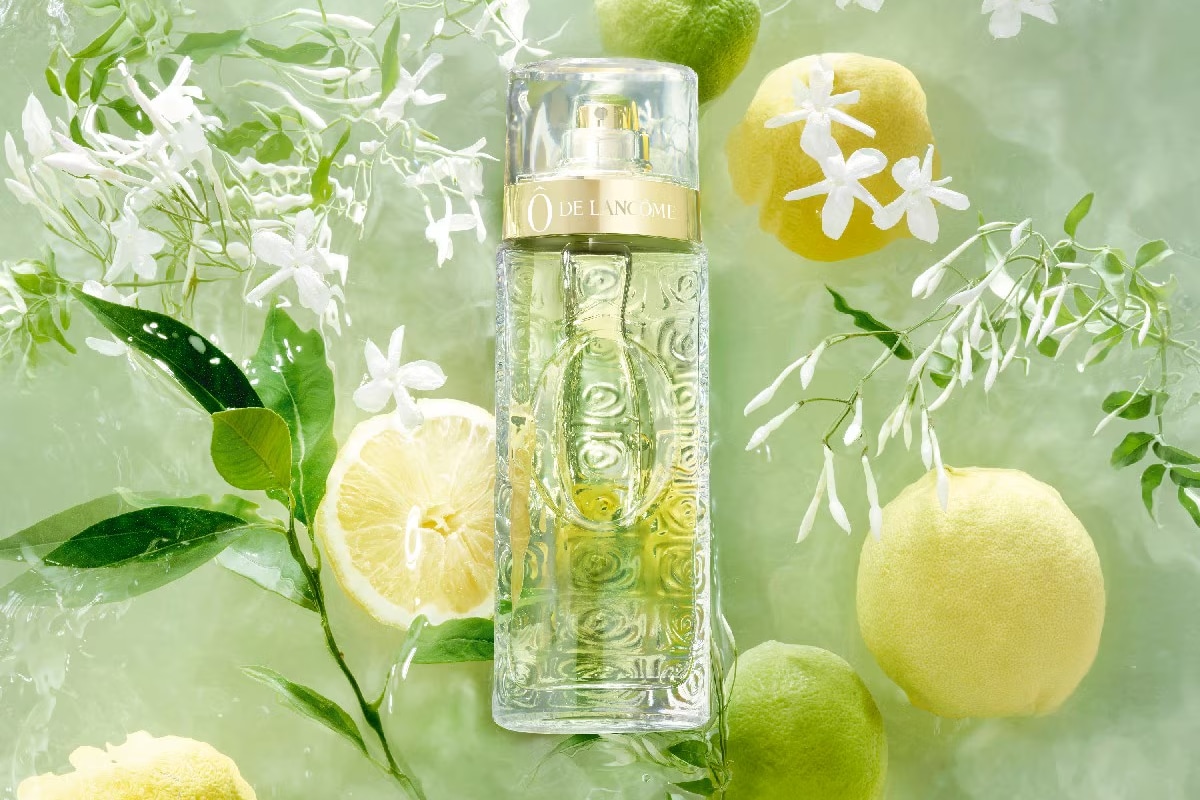 Perfumes citricos e frescos