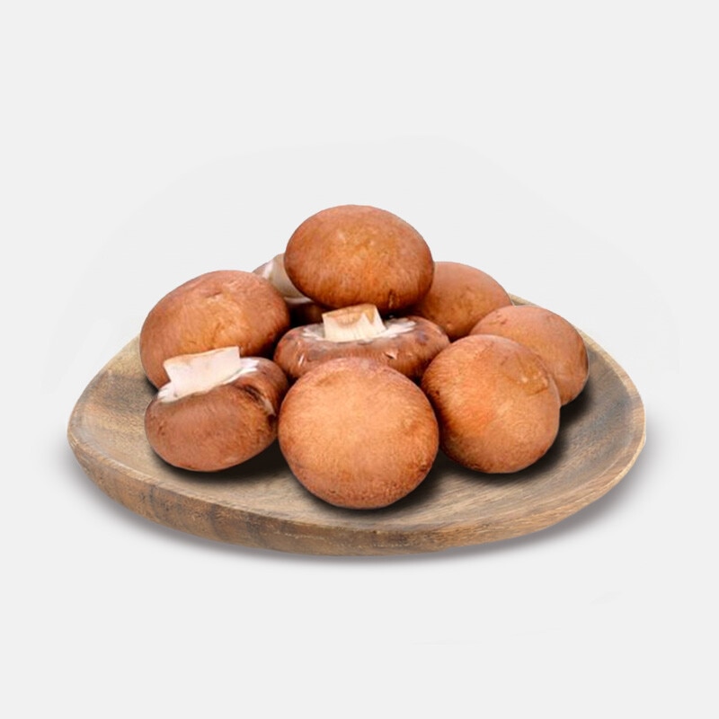 Cogumelos Marron Premium