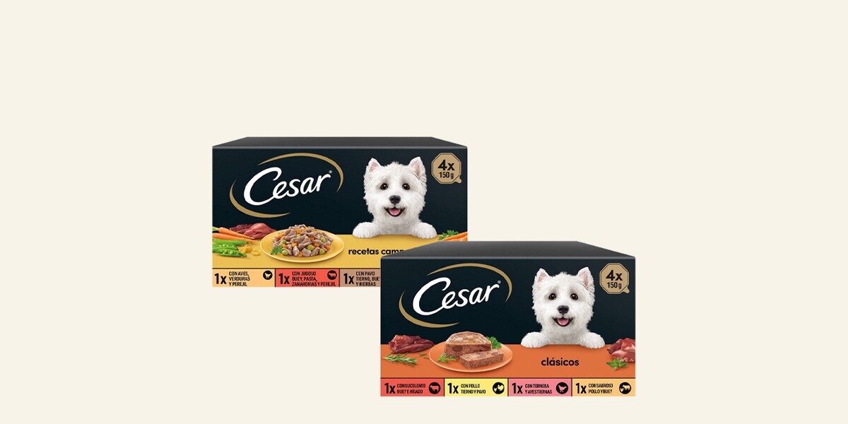 Comida húmeda para perros Cesar