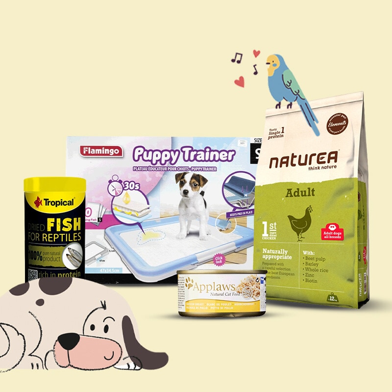 Tudo para o seu Animal de Companhia - 8 a 21 de maio