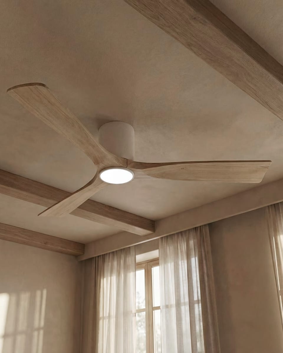 Ventiladores de techo