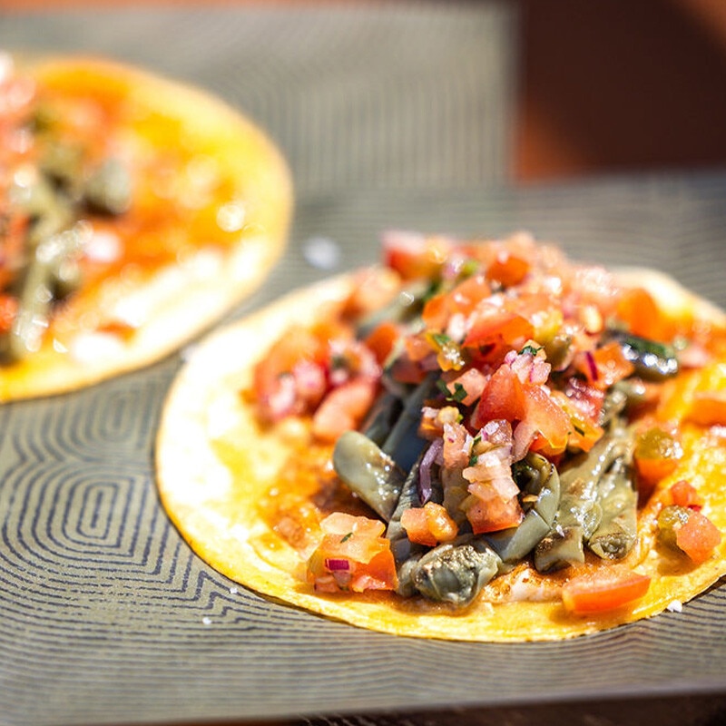 Taco vegetariano nopalitos